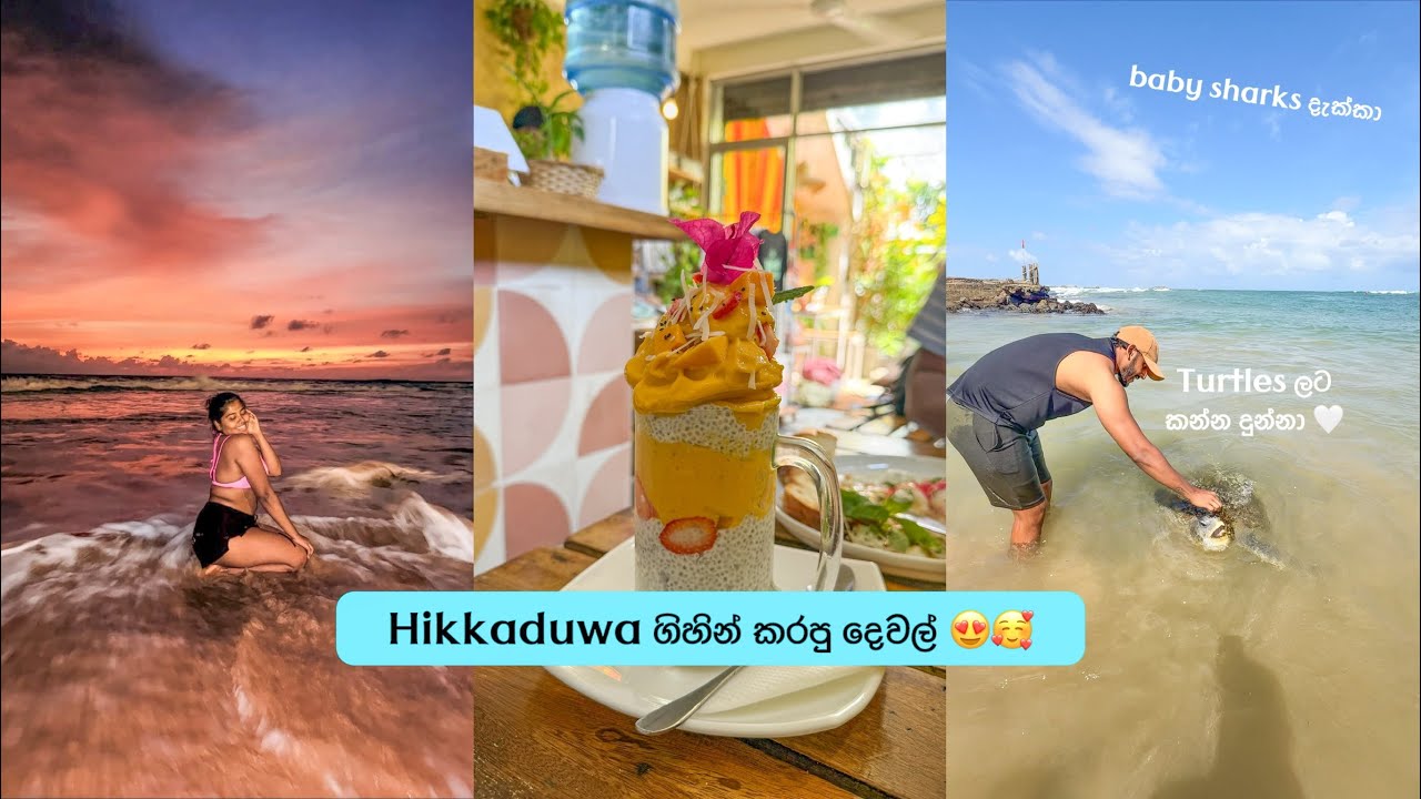 Hikkaduwa ගිහින් කරපු දෙවල් | Snorkeling | Baby Sharks 