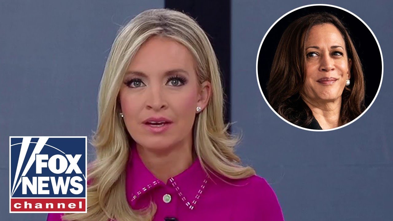 Kayleigh McEnany, hosts in disbelief over Kamala Harris' priority for intel community