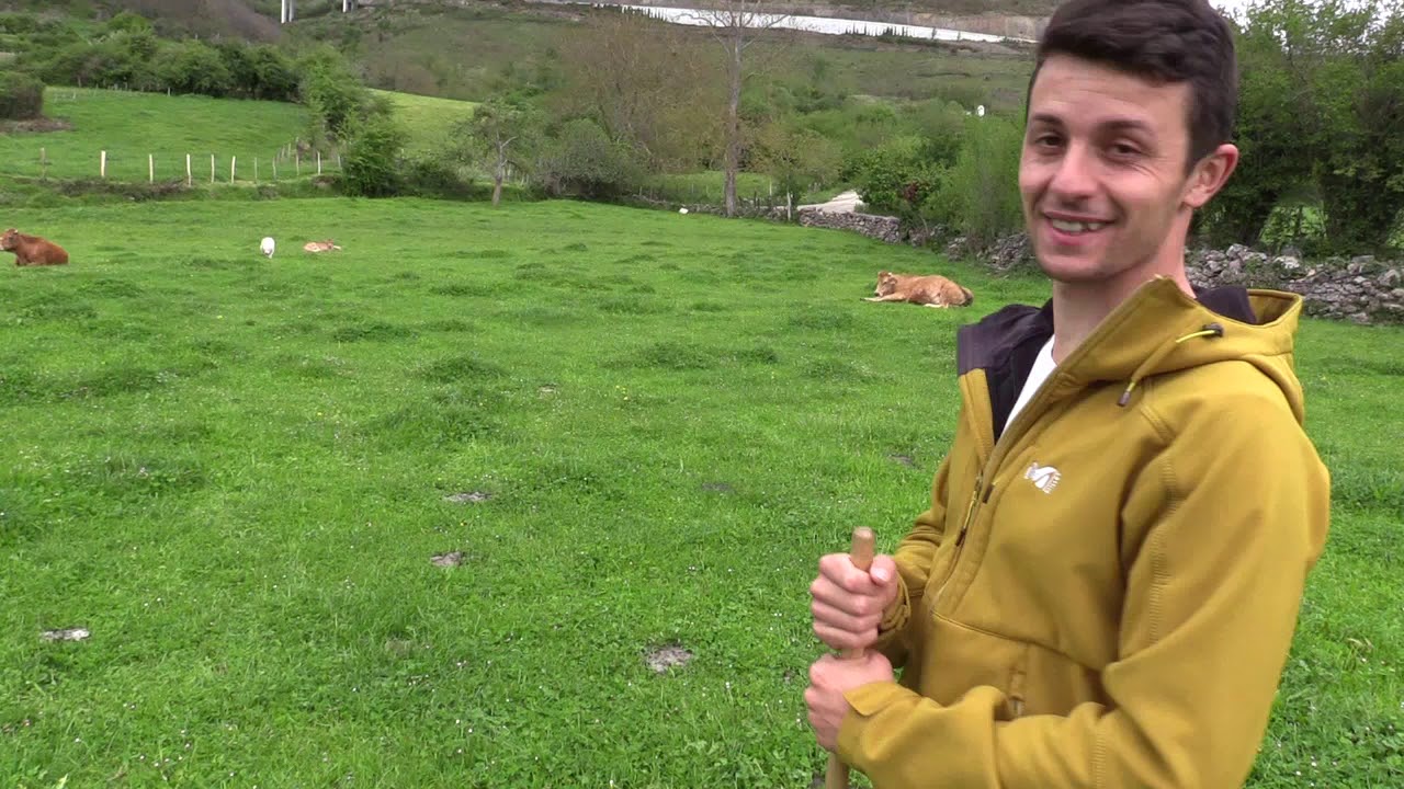 Ganaderos en su habitat | Asturianas en cobejo | 20.5.2019