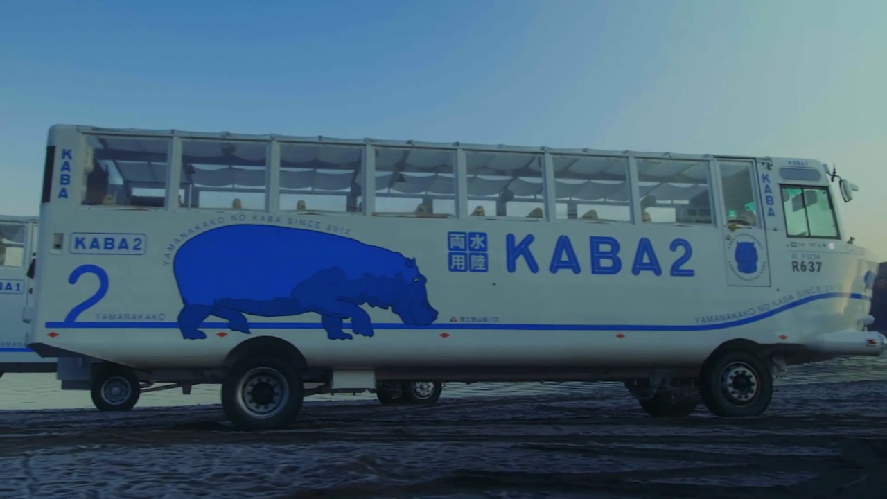 YAMANAKAKO NO KABA　水陸両用 山中湖のカバ