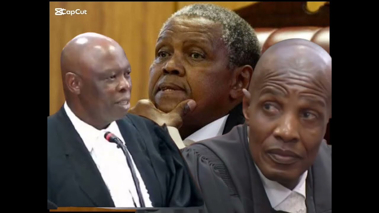 Advocate Baloyi Trying To Poke Hole On Gwabini Zungu Evidence In Chief!