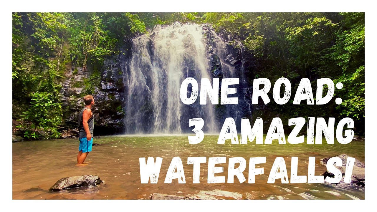MILLAA MILLAA WATERFALL CIRCUIT: Queensland's Most Scenic Road?