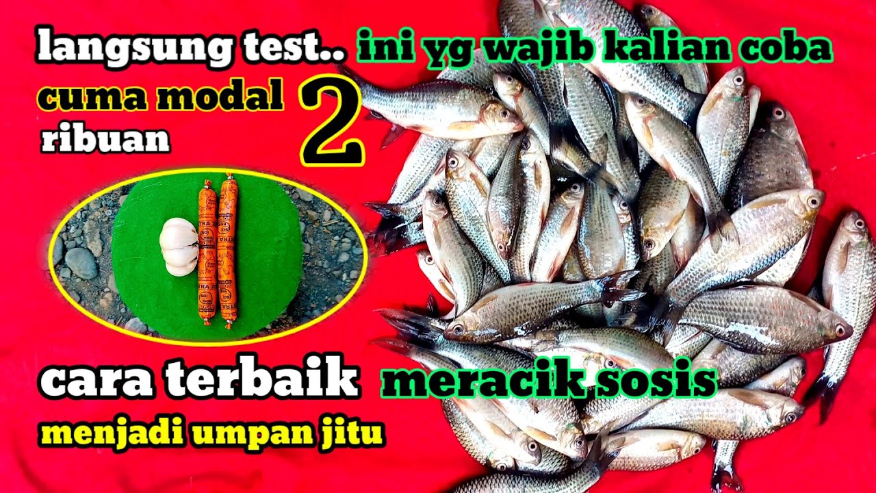 UMPAN cuman modal 2 ribuan