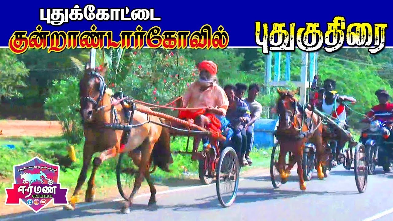 🔴LIVE(நேரலை) |புதுக்கோட்டை மாவட்டம் குன்னாண்டார் கோவில்  | புதுக்குதிரை  | பந்தயம்
