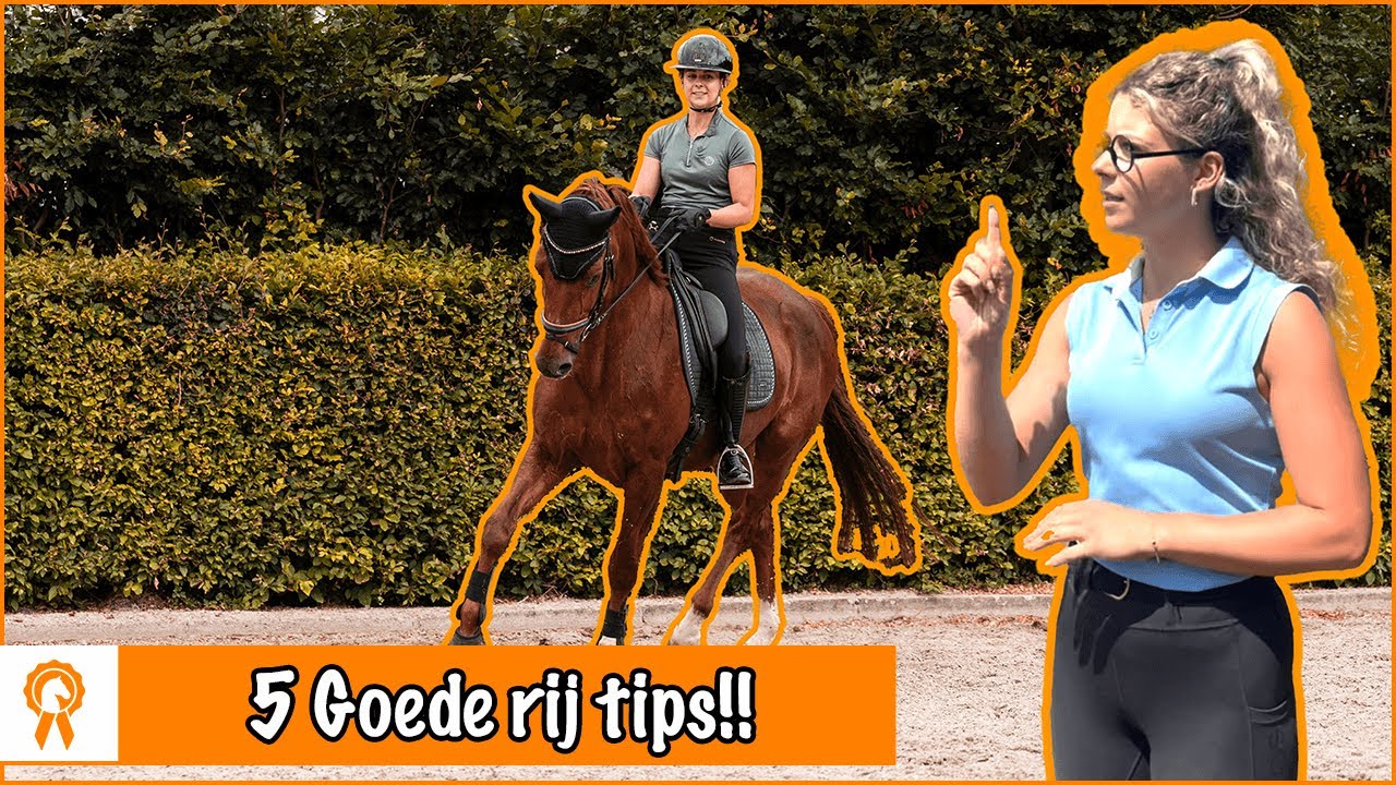 Wat te DOEN als je paard SCHRIKT | PaardenpraatTV