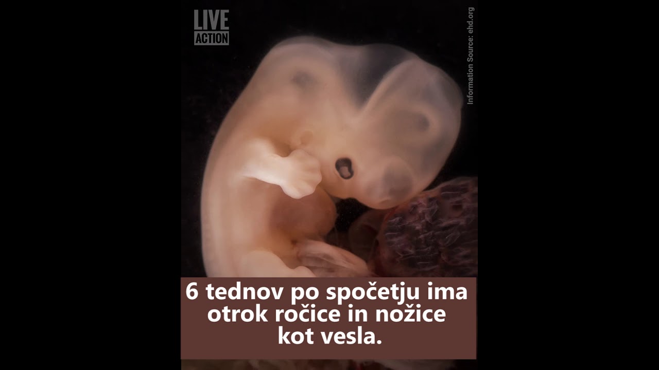 Prvih 10 tednov življenja otroka