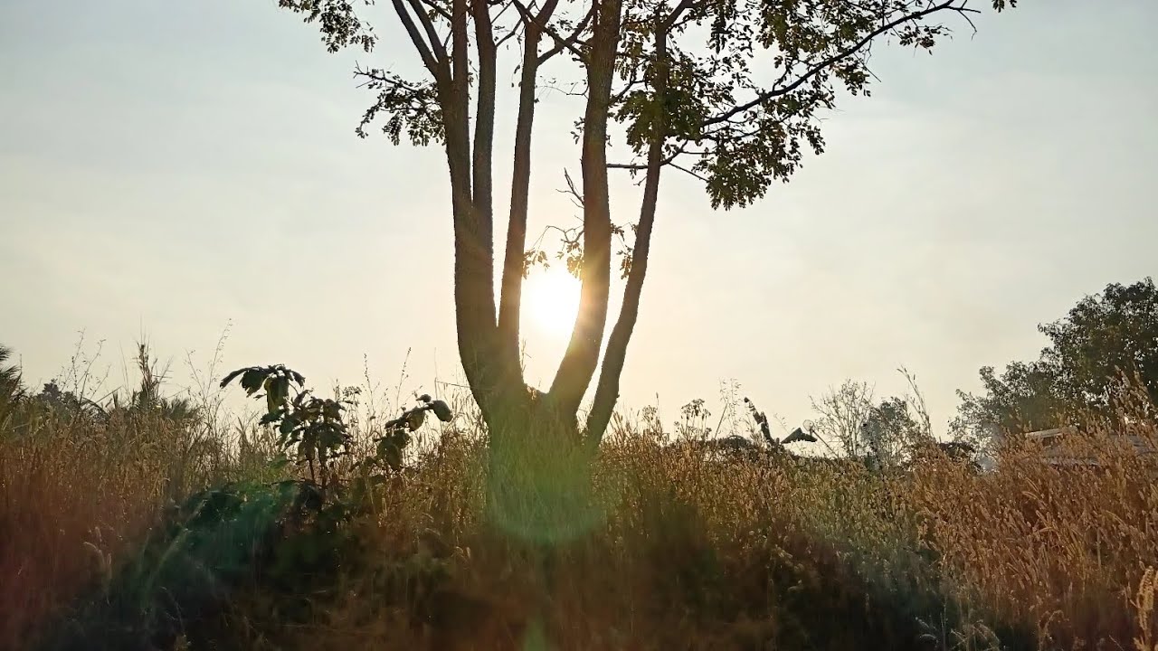   รวมคลิปและภาพ เบื้องหลังการถ่ายทำ