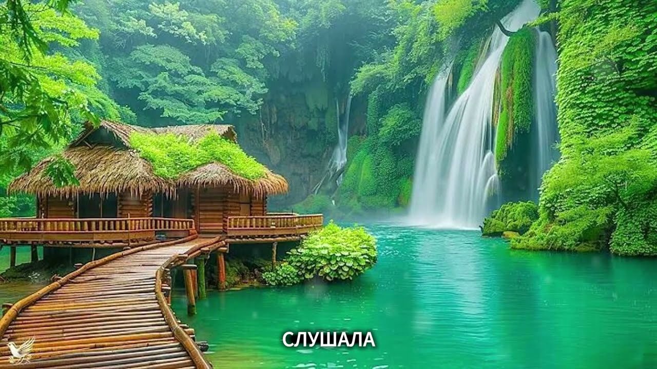 «„Забери её первой“ — слова, изменившие всё».