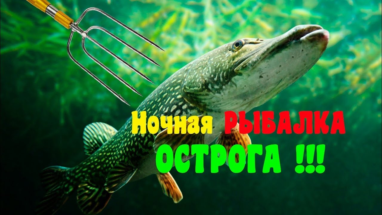 ОСТРОГА-НОЧНАЯ ОХОТА РЫБАЛКА !!!