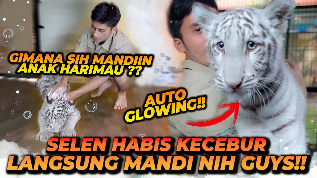 HEBOHNYA MANDIIN SELEN SAMPE ALSHAD SAKIT PUNGGUNG ! BERES MANDI SELEN AUTO GLOWING !!