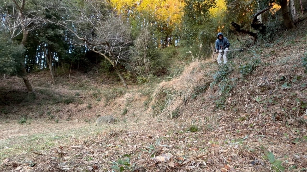 ［7年目］荒廃した山の再生〜竹藪が片付いたら何か植えられるかも！2024/01/14−01