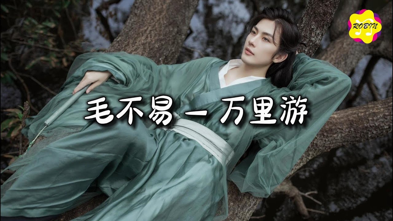 毛不易 - 万里游『拳意无阻 少年风骨，天下谁共筑，交予我 我定不负。』【动态歌词MV】