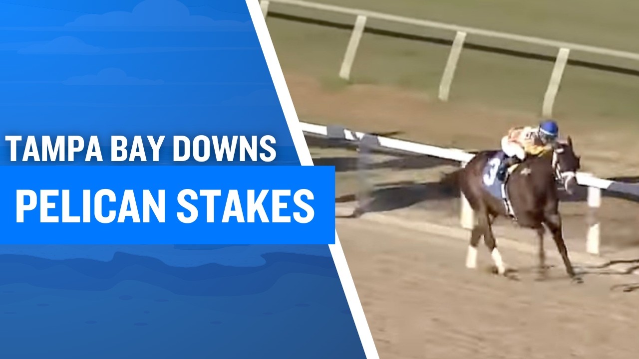 2026 $125,000 Pelican Stakes at Tampa Bay Downs