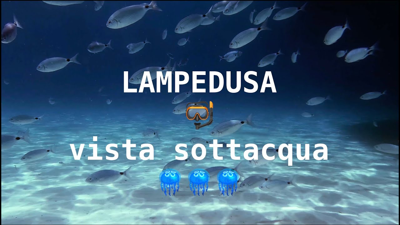 Quello che nessuno ti mostra su Lampedusa: vieni a scoprirla sott'acqua