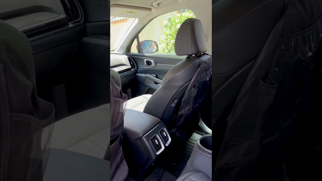 Honest Review of Backseat Organization Protectors for Car