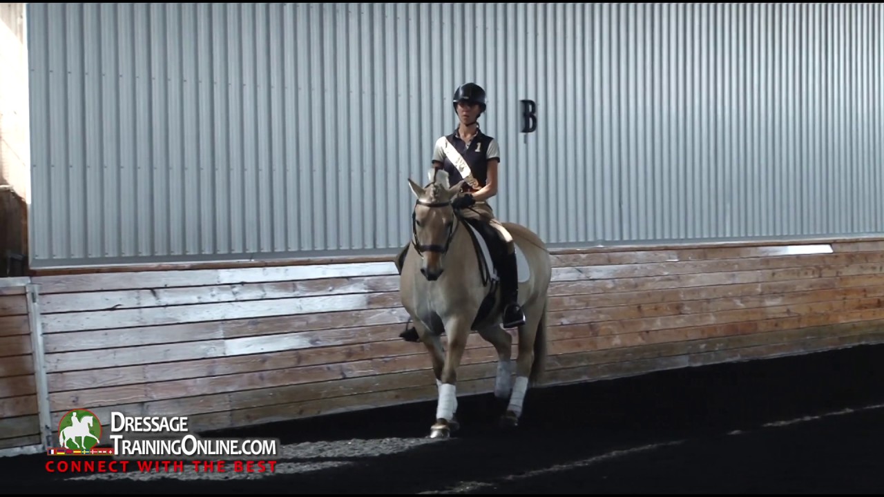 Dressage training on how to improve the trot with Olympian Courtney King Dye