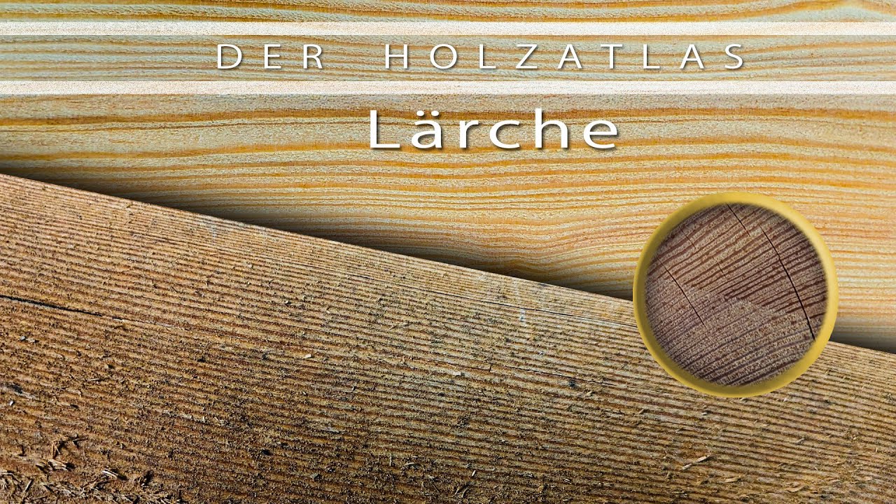 Das PERFEKTE Holz f&uuml;r innen- und Au&szlig;enbereich? - Alles was ihr &uuml;ber L&auml;rche wissen m&uuml;sst!