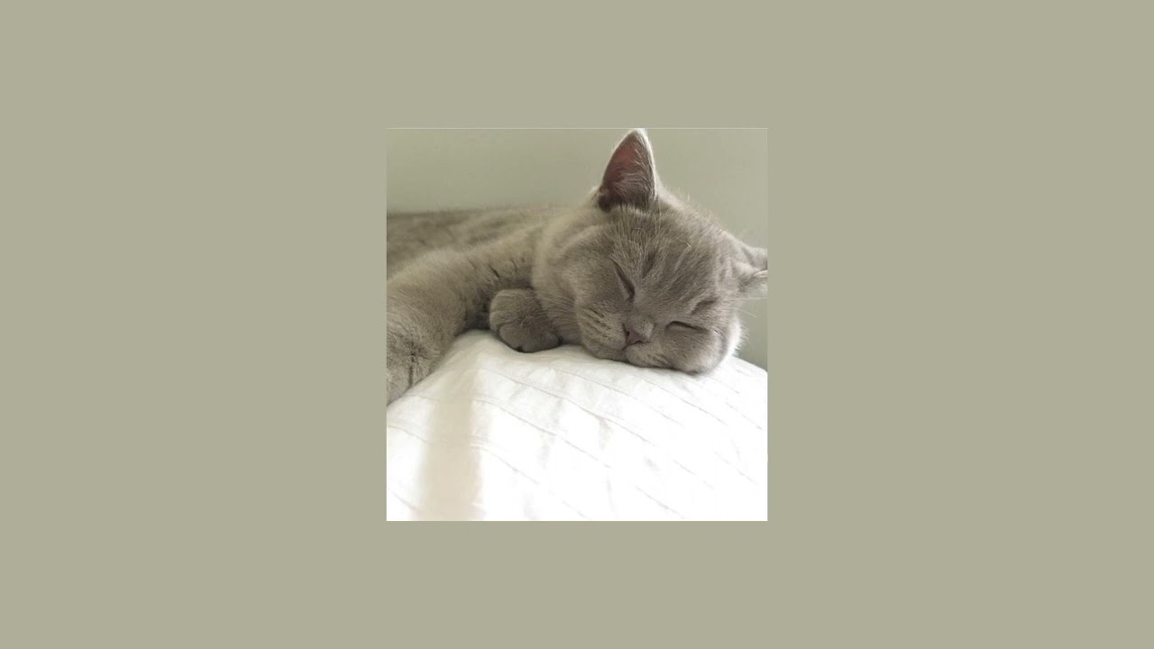 inanimate insanity — afterlife in the limelight〔 sped up/nightcore 〕