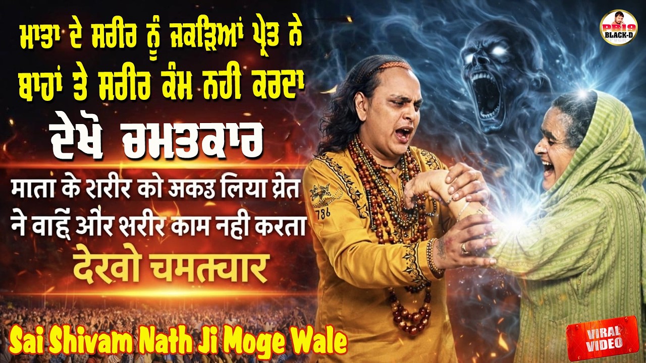 Sai Shiv Nath Ji Moga || Sai Shivam Nath ji Moge Wale || Choki Peera Di || Diwan Peera Da Live 2026