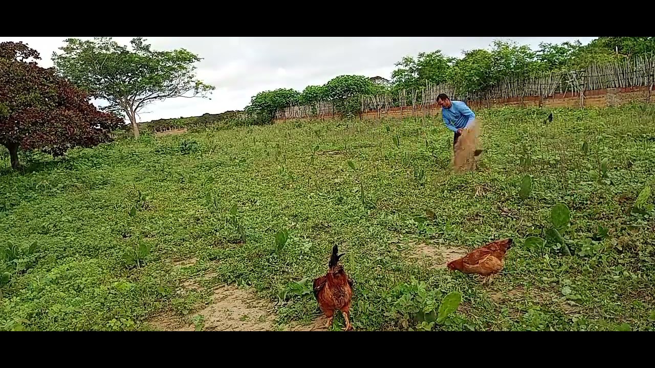 12 de março de 2026
