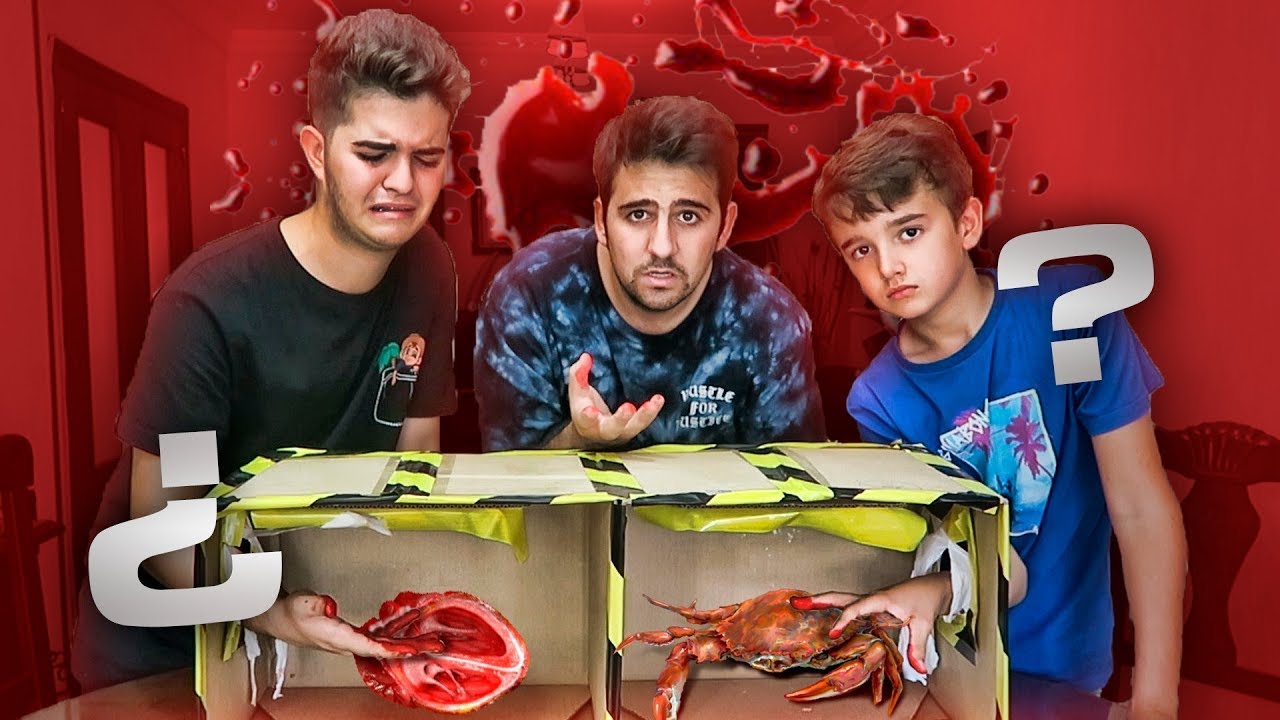 ¿ QUE HAY EN LA CAJA 📦 ? VERSION EXTREMA CON MIS PRIMOS !- ElChurches