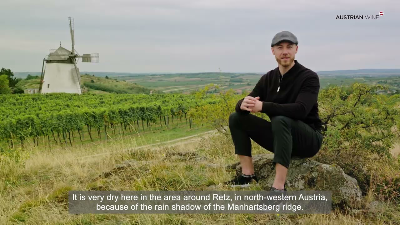 WEINVIERTEL - Austria&acute;s largest wine growing region