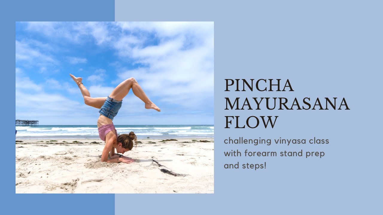 Pincha Prep | 50 Minute Yoga Class | Challenging Vinyasa Flow
