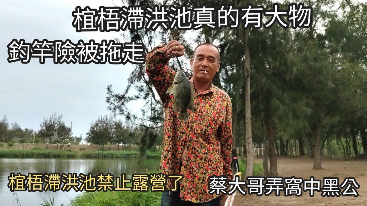 椬梧滯洪池真的有大物，釣竿差點被拖走，釣海吳郭魚（黑公）的好釣點。（第五十二集）