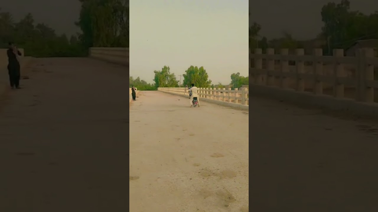 KING SHANWAZ46 KING 46 THE WORLD #shanwaz #shortvideo #foryou #tranding #shanwaz #vairalshort
