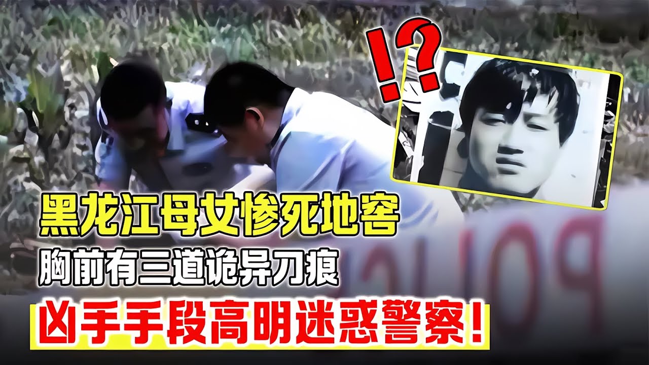 黑龍江母女慘死地窖，胸前有三道詭異刀痕，兇手手段高明迷惑警察 #案件 #探案 #懸案 #懸疑 #案件解說