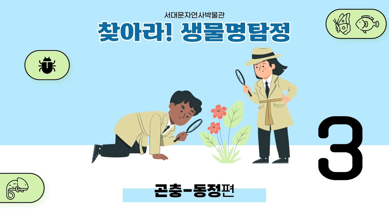 [찾아라! 생물명탐정] 곤충편 3