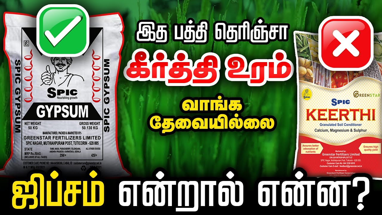 கரும்பு சக்கையா இது ? 250ரூபாய் ஜிப்சம் உரத்தின் முக்கியமான 2 பயன்கள் | GYPSUM USES |