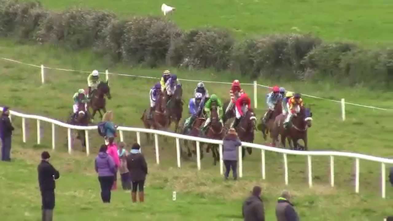 2015 Dawn Milk Dingle Derby