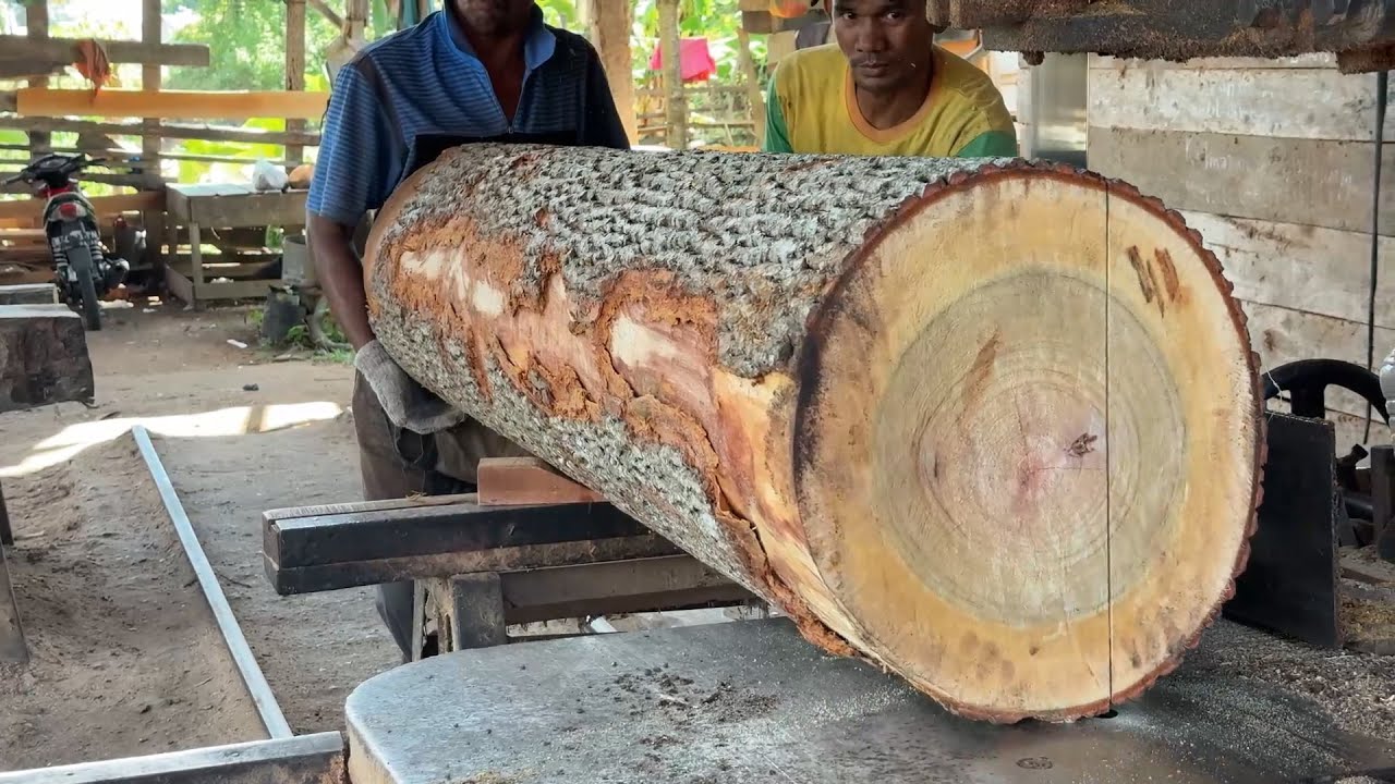 Processing 2x40 Boards with Sawmill Machine Efficiently and Quickly