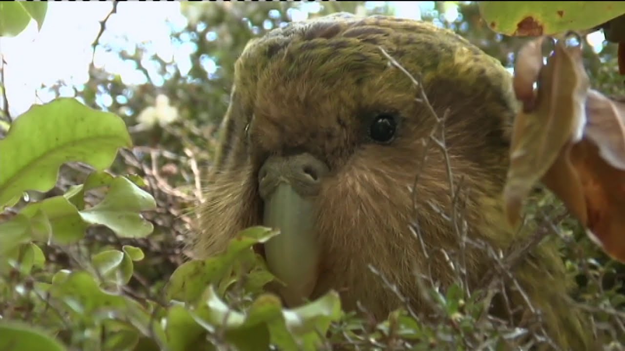 Meet the Locals: Open sanctuaries