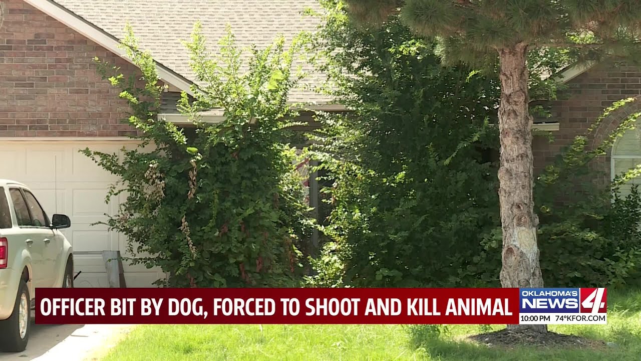 Oklahoma City police shoot, kill dog said to have bitten officer
