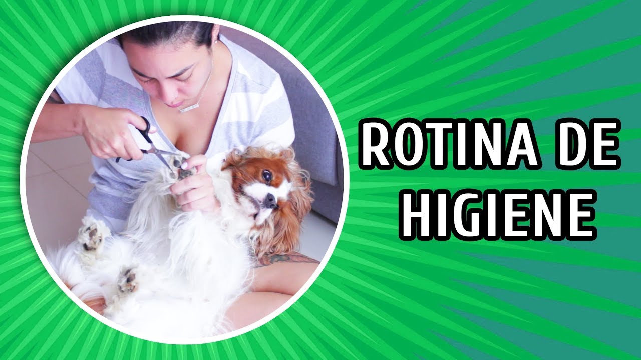 ROTINA SEMANAL DE HIGIENE