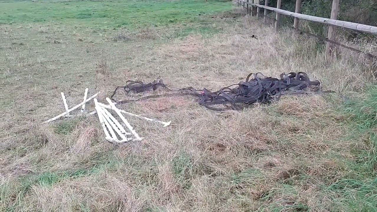 Début de création d'un petit paddock paradise