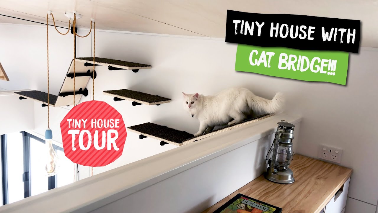 Cyril the CAT FRIENDLY Tiny House - video tour | Build Tiny | Katikati NZ