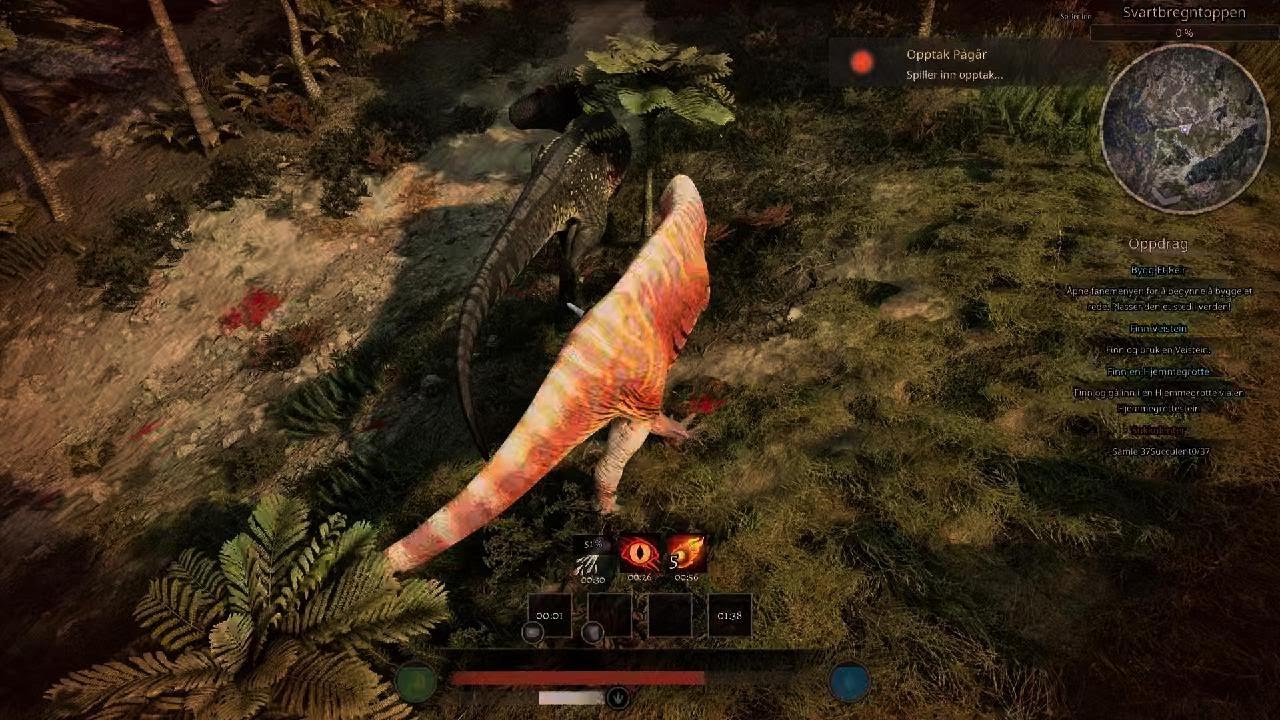 Weird fight