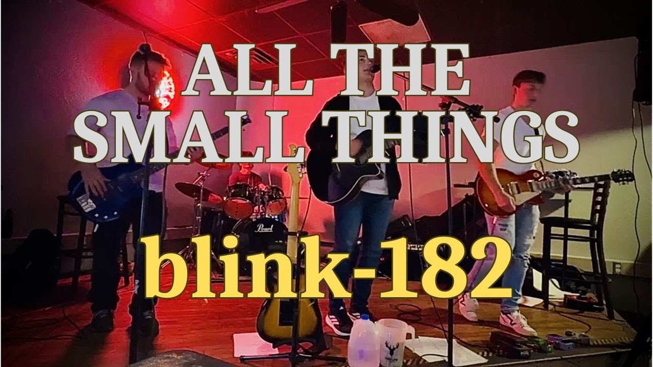 All The Small Things - blink-182