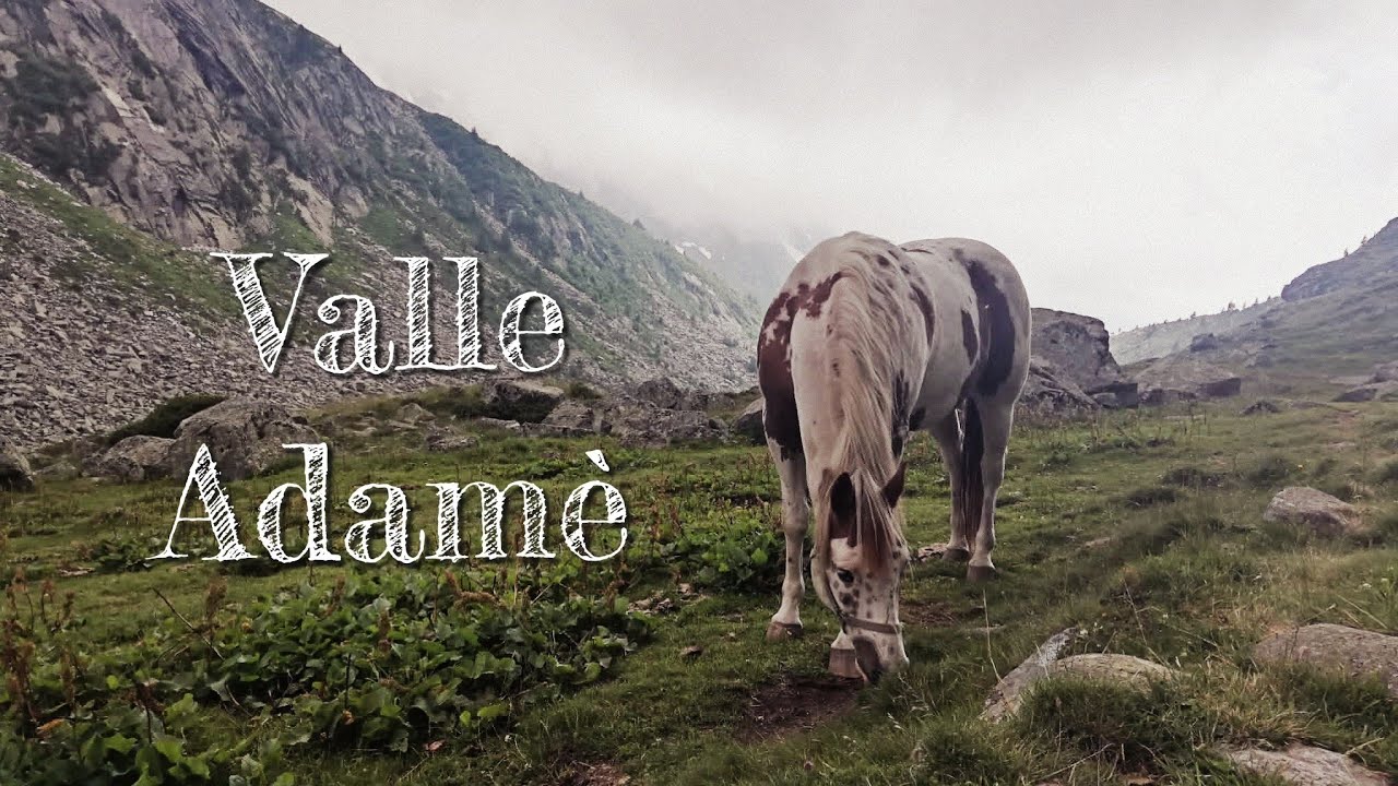 |VLOG| Una giornata in montagna... Valle Adam&egrave;