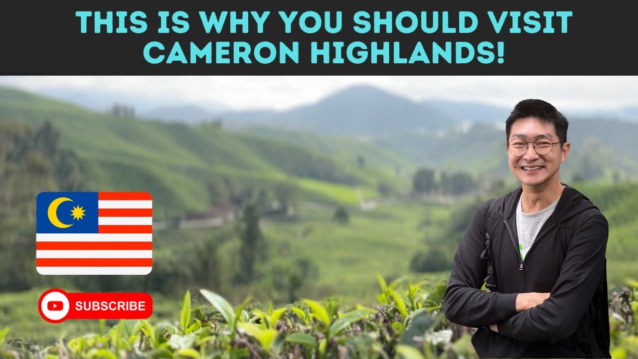 This is why you should visit Cameron Highlands, Malaysia