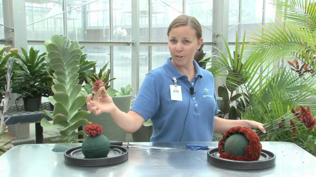 Creating Chrysanthemum Spheres - A Meijer Gardens Gardening Tip