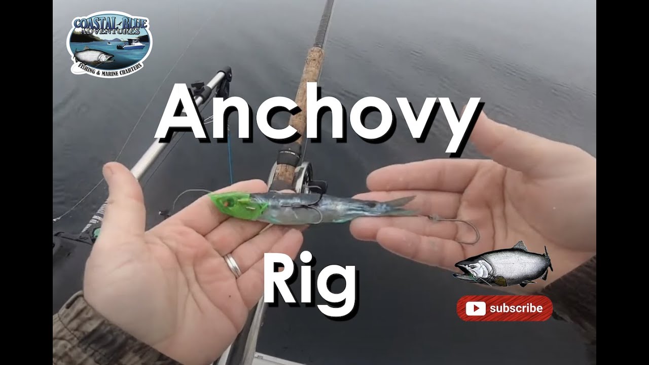 How to build an anchovy rig - Rhys Davis