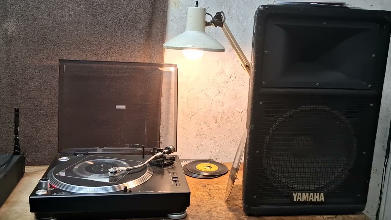 I HATE ALL THE PEOPLE AT MY PARTY / JED DAVIS / PRESTO 6N RECORD LATHE / 8