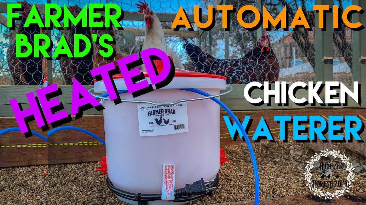 😱WE WON?!! 😃👍 Heated Automatic Chicken Waterer💧🐓