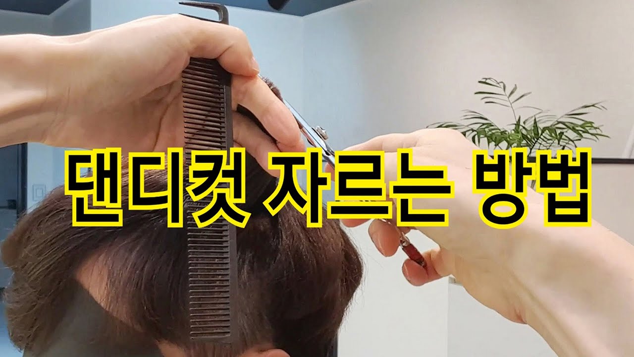 댄디컷 초간단 커트 자르는 방법. 남자머리자르기 쉽게 해봐요.