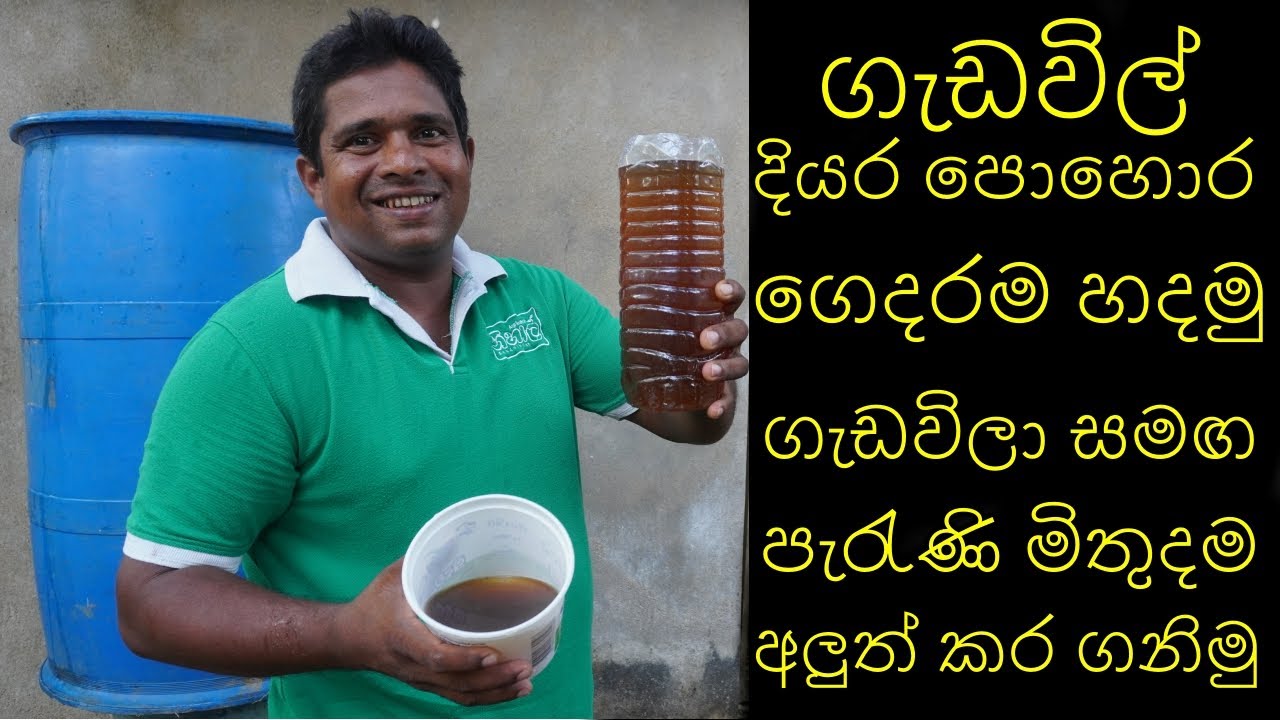 ගැඩවිලි දියර පොහොර ගෙවතුවගාවට  How to make Wormy compose liquid fertilizer at home gedawili diyara