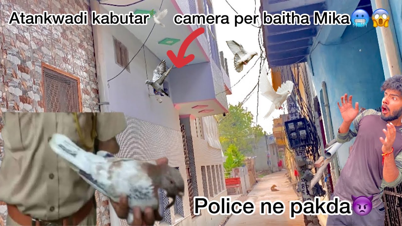 atankwadi Kabutar 🕊️ camera ke upar baitha Mila🥵😱 // try to catch wanted pigeon 🐦